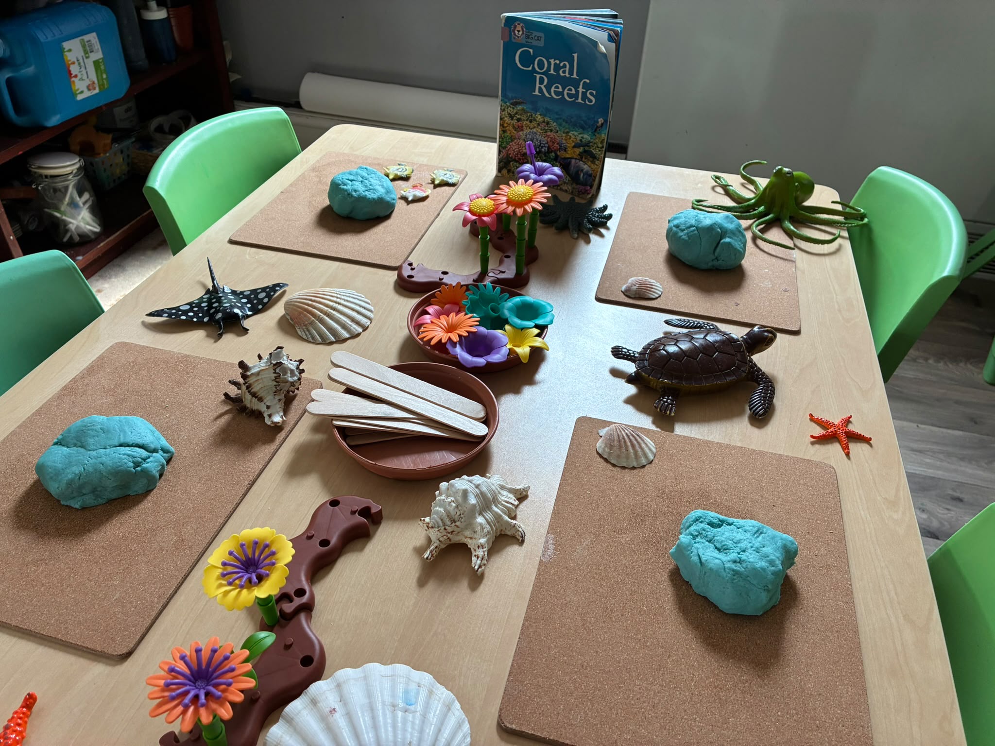 defining fine motor skills with coral reefs activity
